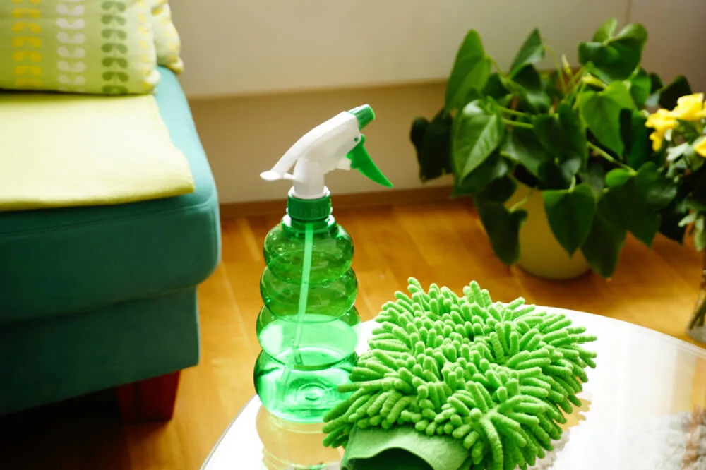Green Cleaning