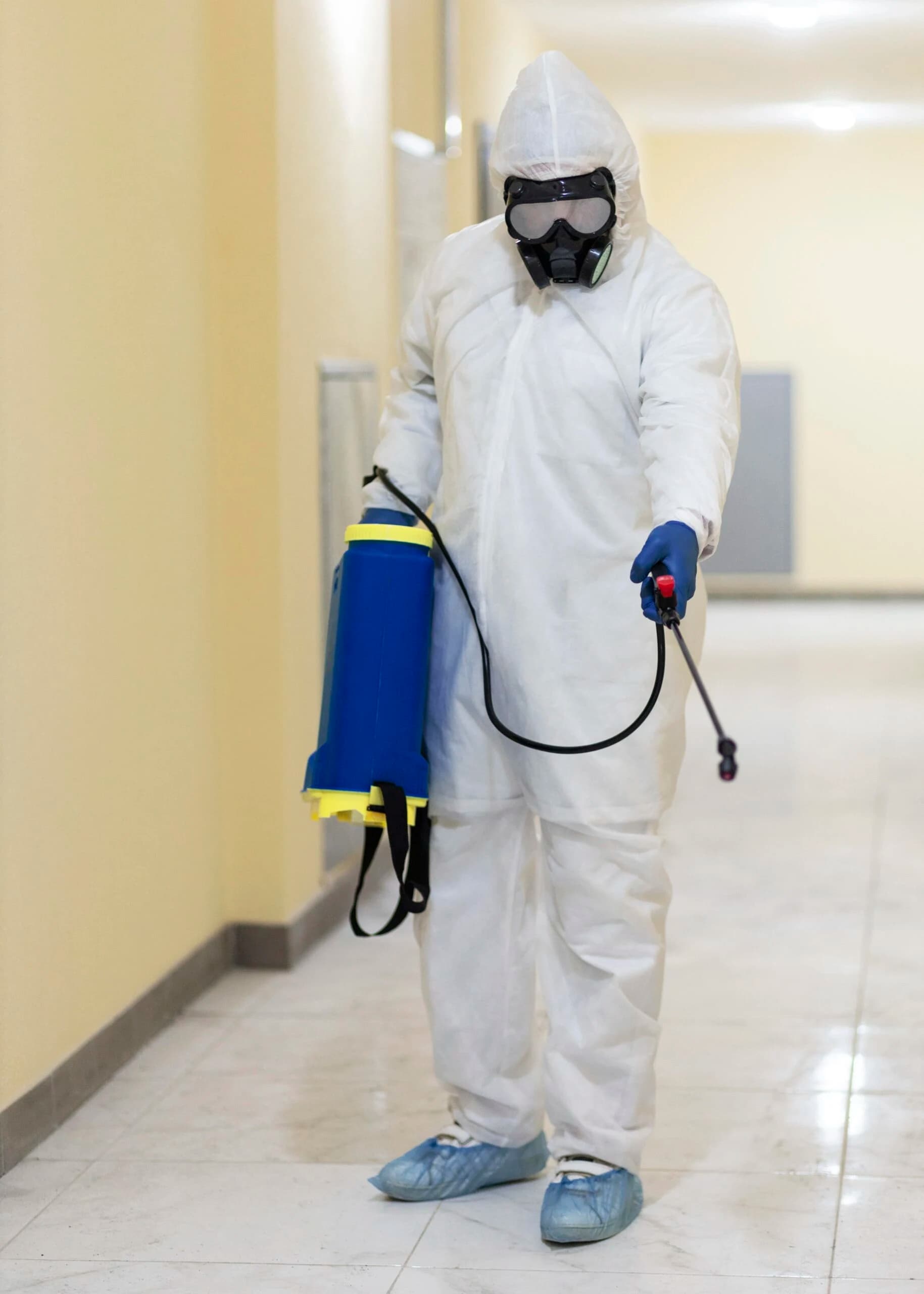 Professional Disinfection
